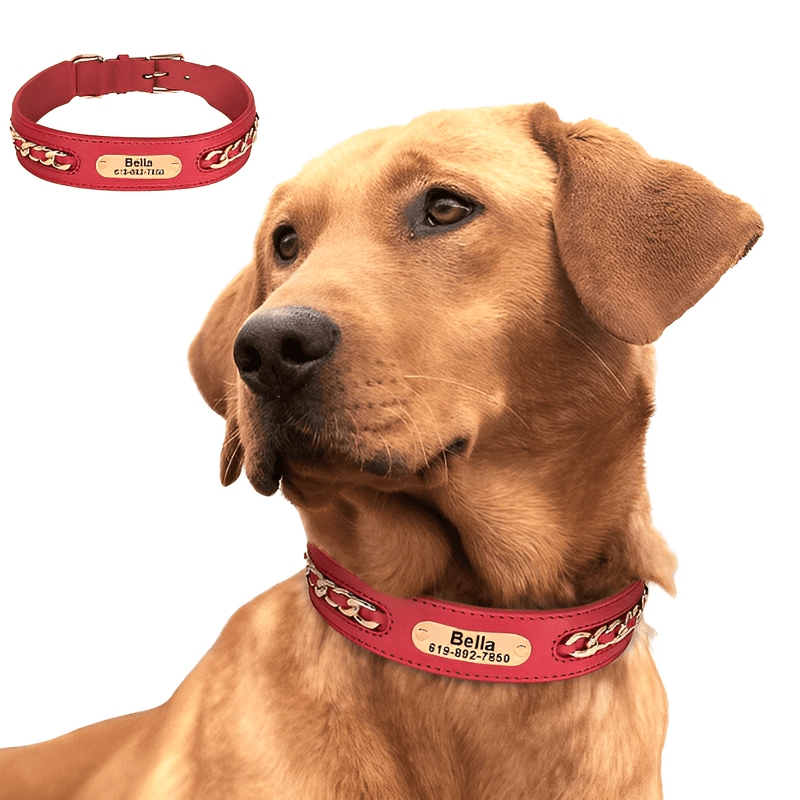 coleira para cachorro, coleira de couro para cachorro, coleira personalizada para cachorro, coleira para cães, melhor coleira anti fuga, mundomiauauau, miauauau