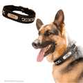 coleira para cachorro, coleira de couro para cachorro, coleira personalizada para cachorro, coleira para cães, melhor coleira anti fuga, mundomiauauau, miauauau