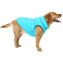 roupa para cachorro, colete para cachorro, roupa de frio para cachorro, roupa de inverno para cachorro, mundomiauauau, miauauau
