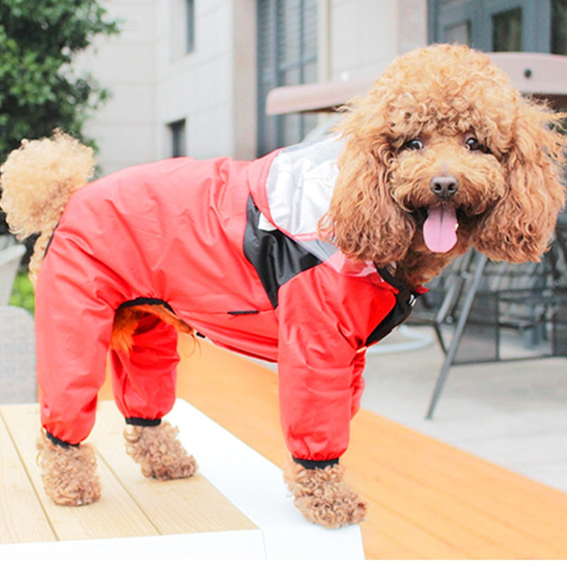 capa de chuva para cães, capa de chuva para cachorro, capinha de chuva para pet, capa de chuva para pet, melhor capa de chuva para cachorro, mundomiauauau, miauauau