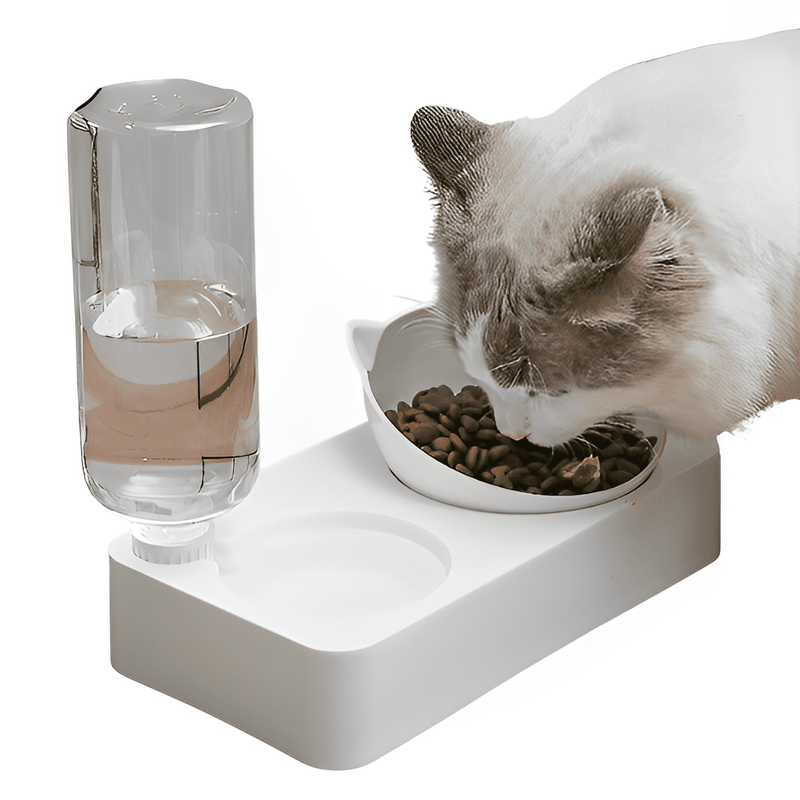 comedouro para gatos, comedouro ergonomico para gato, bebedouro para gato, comedouro e bebedouro para gatos, mundomiauauau, miauauau