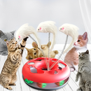 brinquedo para gatos, brinquedo interativo para gato, brinquedo para gato filhote, melhor brinquedo para gato, mundomiauauau, miauauau