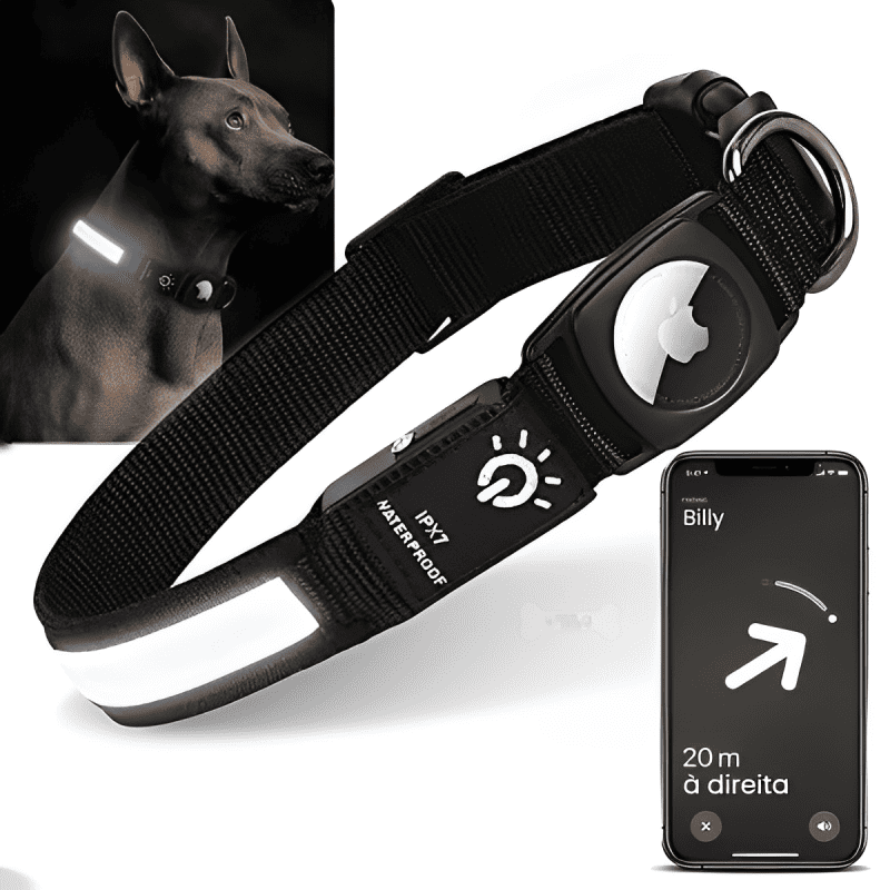 coleira para cachorro, coleira gps para cachorro, coleira airtag, coleira com lanterna, melhor coleira para cachorro, mundomiauauau, miauauau