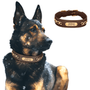 coleira para cachorro, coleira de couro para cachorro, coleira personalizada para cachorro, coleira para cães, melhor coleira anti fuga, mundomiauauau, miauauau