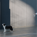 coleira para cachorro, coleira retrátil para cachorro, coleira para cachorro médio, coleira para cachorro pequeno, coleira para raças pequenas, mundomiauauau, mundo miauauau, guia para cachorro