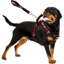 coleira peitoral para cachorro grande, coleira para pitbull, coleira para rottweiller, coleira e guia para cachorro grande, coleira para cachorro forte, coleira anti puxão, coleira com amortecedor, coleira tática para cachorro, arnês tático para cachorro, mundomiauauau, miauauau