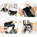 suporte para cachorro com deficiência, suporte para cachorro com displasia, suporte de quadril para cachorro, suporte traseiro para cachorro, suporte para cachorro idoso, suporte ajustável para cachorro, mundomiauauau