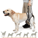 suporte para cachorro com deficiência, suporte para cachorro com displasia, suporte de quadril para cachorro, suporte traseiro para cachorro, suporte para cachorro idoso, suporte ajustável para cachorro, mundomiauauau