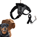 coleira peitoral para cachorro grande, coleira para pitbull, coleira para rottweiller, coleira e guia para cachorro grande, coleira para cachorro forte, coleira anti puxão, coleira com amortecedor, coleira tática para cachorro, arnês tático para cachorro, mundomiauauau, miauauau