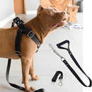 coleira peitoral para cachorro, coleira para pitbull, coleira para american, coleira peitoral para cachorro grande, coleira para cachorro médio, coleira peitoral para cachorro médio, coleira anti puxão, coleira para rotweiller, guia para cachorro grande, mundomiauauau, miauauau