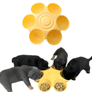 comedouro para filhotes de cachorro, comedouro para filhotes de gato, comedouro multiuso para cachorro, comedouro para vários cachorros, comedouro para vários filhotes, vasilha para cachorro filhote, tigela para filhote de cachorro, mundomiauauau, miauauau