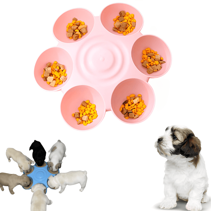 comedouro para filhotes de cachorro, comedouro para filhotes de gato, comedouro multiuso para cachorro, comedouro para vários cachorros, comedouro para vários filhotes, vasilha para cachorro filhote, tigela para filhote de cachorro, mundomiauauau, miauauau