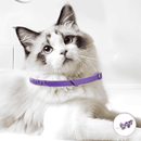 Kit 4 Coleiras Calmantes Para Gatos com Feromônio - CalmCat Original™