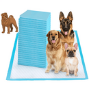 tapete higiênico para cachorro, tapete de treinamento para cachorro, tapete para cachorro, mundomiauauau, miauauau