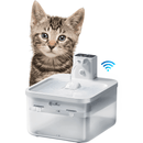 fonte para gato, fonte sem fio para gato, fonte wireless para gato, bebedouro para gatos, bebedouro sem fio para gato, bebedouro automático para gato, fonte automática para gatos, mundomiauauau, miauauau
