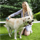 ducha para cachorro, mangueira para banho pet, como dar banho em cachorro, banho em cachorro, banho e tosa em cachorro, mundomiauauau, miauauau