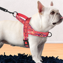 coleira peitoral para cachorro pequeno, coleira peitoral para cachorro médio, coleira para bulldog inglês, mundomiauauau, miauauau