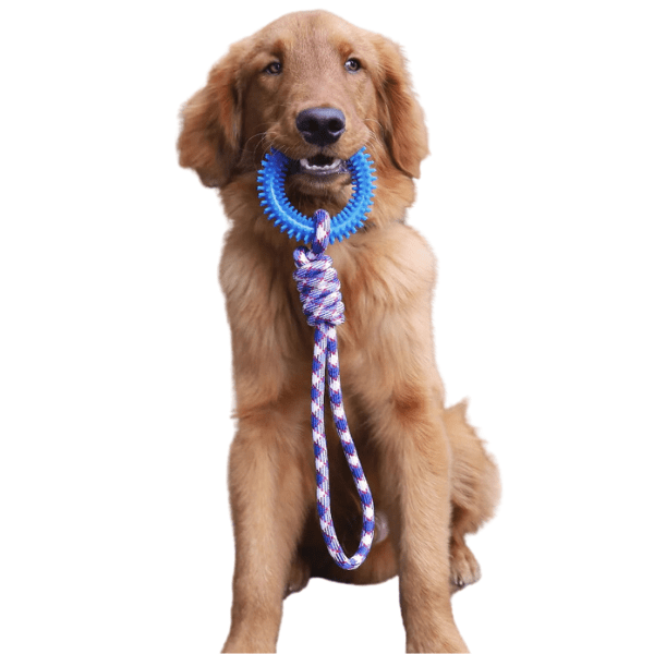 brinquedo para cachorro, brinquedo interativo para cachorro, brinquedo para cachorro grande, brinquedo de puxar para cachorro, brinquedo para cães, corda para cachorro, mundomiauauau, miauauau
