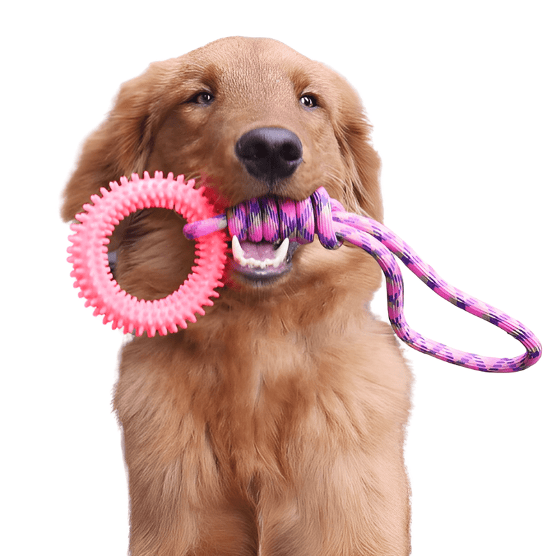 brinquedo para cachorro, brinquedo interativo para cachorro, brinquedo para cachorro grande, brinquedo de puxar para cachorro, brinquedo para cães, corda para cachorro, mundomiauauau, miauauau