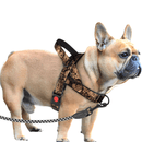 coleira peitoral para cachorro pequeno, coleira peitoral para cachorro médio, coleira para bulldog inglês, mundomiauauau, miauauau