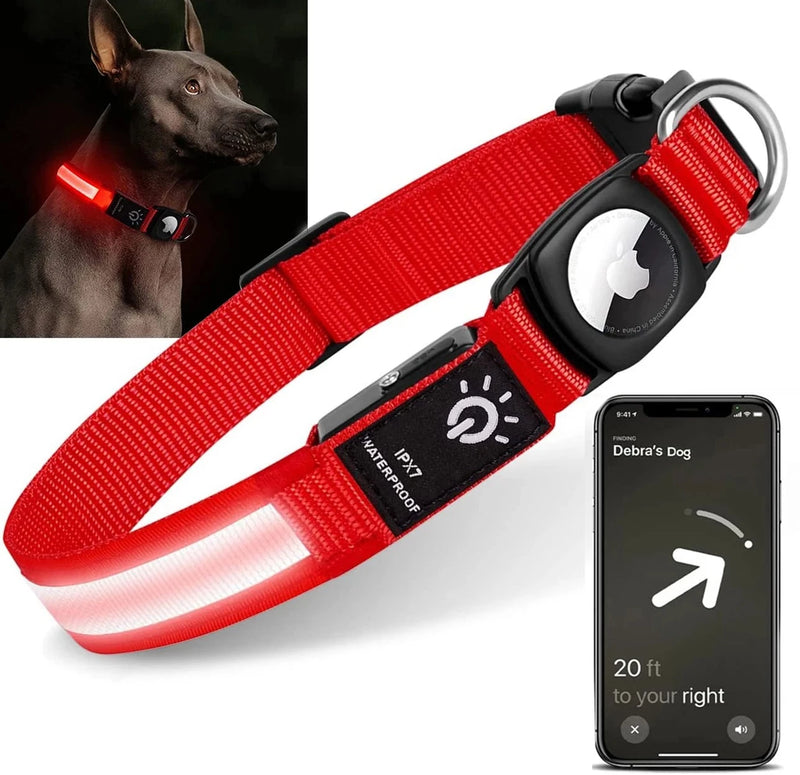 coleira para cachorro, coleira gps para cachorro, coleira airtag, coleira com lanterna, melhor coleira para cachorro, mundomiauauau, miauauau