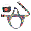 coleira peitoral para cachorro pequeno, coleira peitoral para cachorro médio, coleira para bulldog inglês, mundomiauauau, miauauau