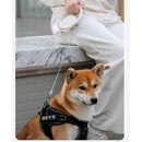 coleira para cachorro, coleira retrátil para cachorro, coleira para cachorro médio, coleira para cachorro pequeno, coleira para raças pequenas, mundomiauauau, mundo miauauau, guia para cachorro