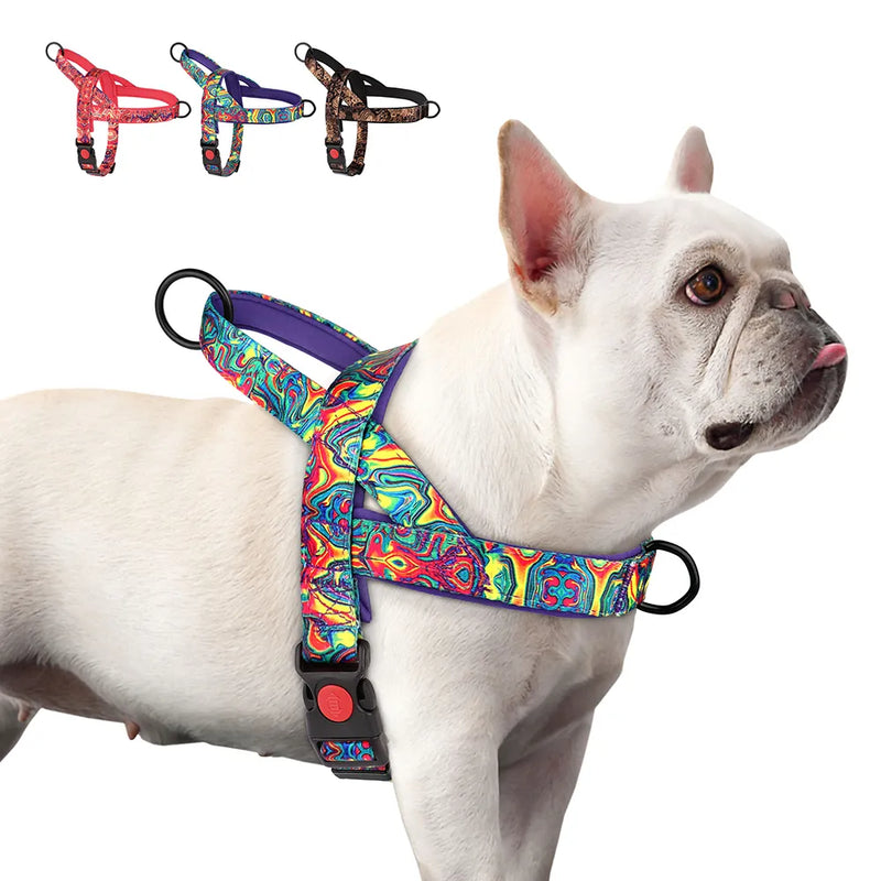 coleira peitoral para cachorro pequeno, coleira peitoral para cachorro médio, coleira para bulldog inglês, mundomiauauau, miauauau