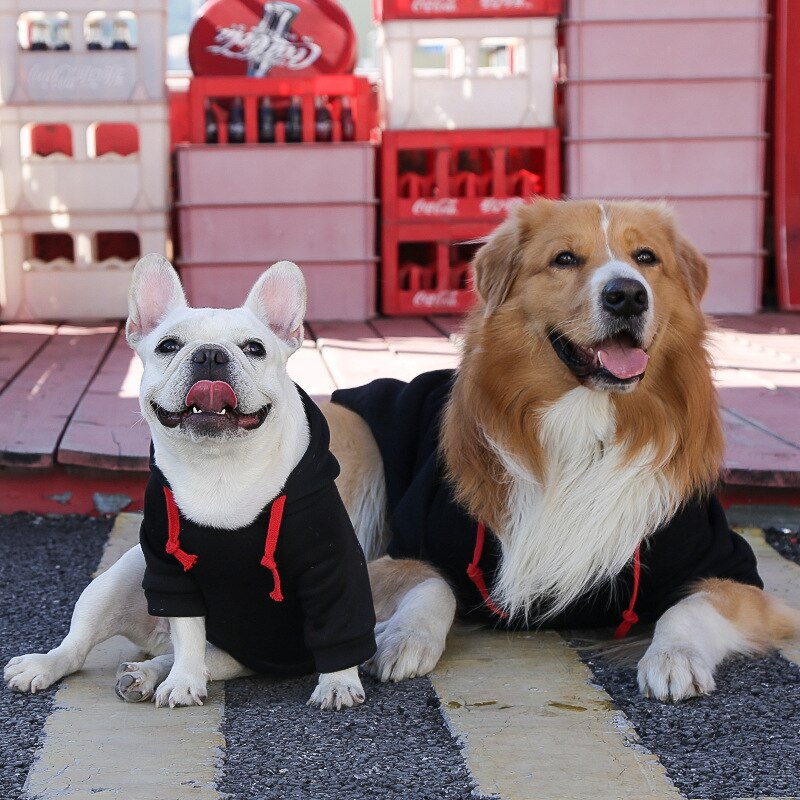roupa de frio para cachorro, moletom para cachorro, jaqueta para cachorro, roupa de inverno para cachorro, casaco para cachorro, jaqueta para cachorro, roupa para cachorro pequeno, mundomiauauau, miauauau
