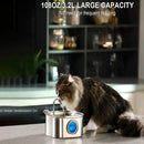 Bebedouro Inteligente para Gatos 3.2L em Aço Inox com Sensor e Janela Transparente