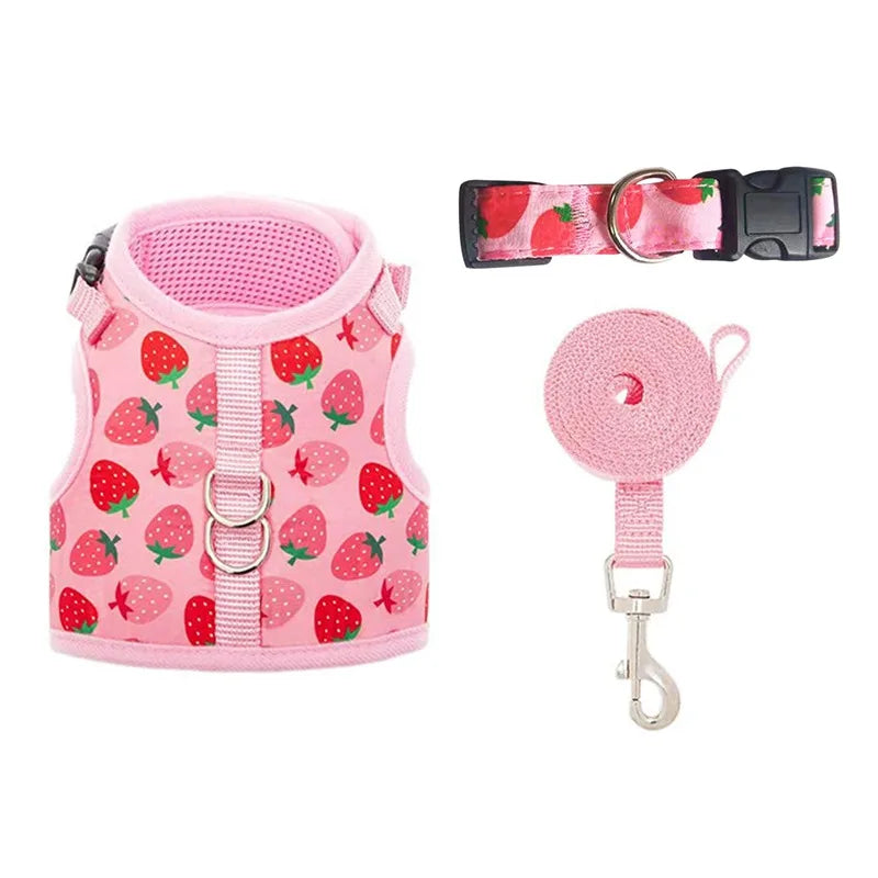 coleira para gatos, coleira anti fuga para gato, peitoral para gatos, coleira e guia para gato, coleira rosa para gatos, miauauau, mundomiauauau