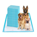 tapete higiênico para cachorro, tapete de treinamento para cachorro, tapete para cachorro, mundomiauauau, miauauau