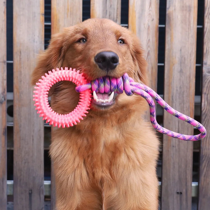 brinquedo para cachorro, brinquedo interativo para cachorro, brinquedo para cachorro grande, brinquedo de puxar para cachorro, brinquedo para cães, corda para cachorro, mundomiauauau, miauauau