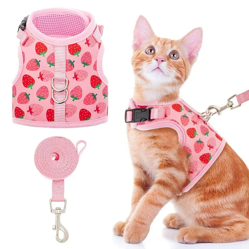 coleira para gatos, coleira anti fuga para gato, peitoral para gatos, coleira e guia para gato, coleira rosa para gatos, miauauau, mundomiauauau