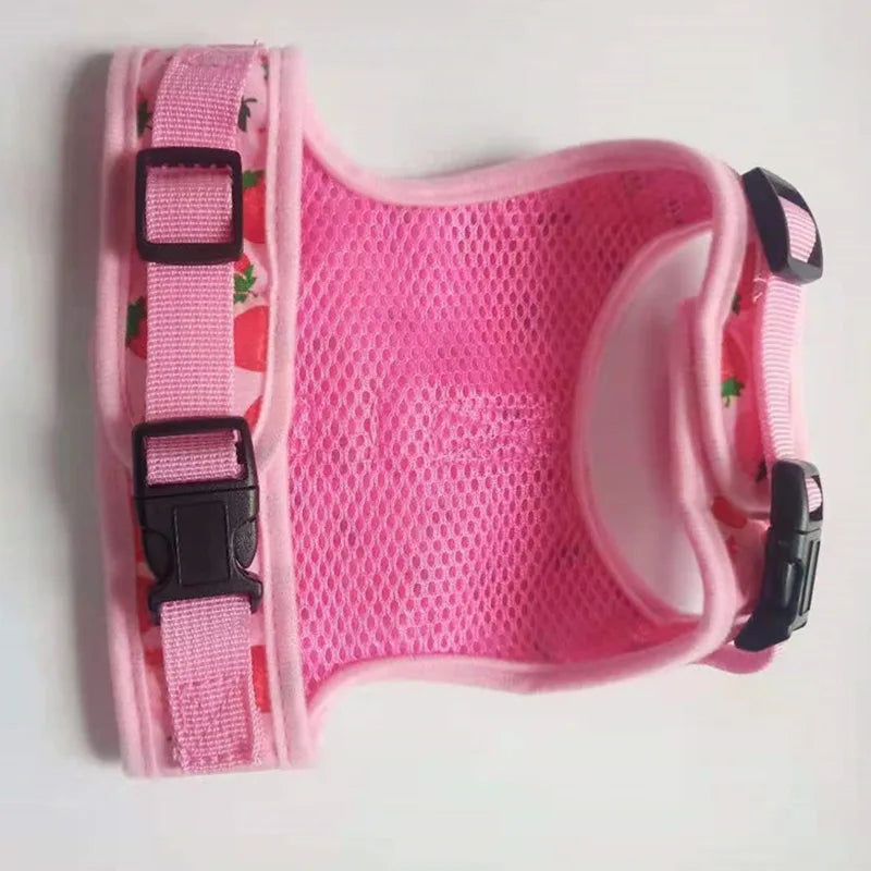 coleira para gatos | coleira anti fuga para gato | peitoral para gatos | coleira e guia para gato | coleira rosa para gatos | miauauau | mundomiauauau
