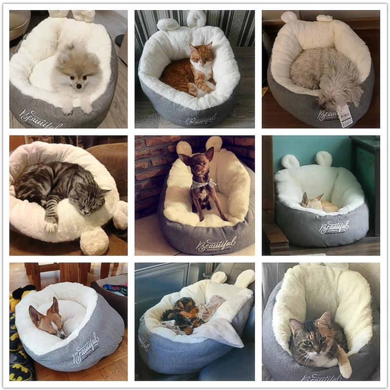 cama para gatos, caminha para gatos, melhor cama para gato, cama para gatos em promoção, mundomiauauau, miauauau