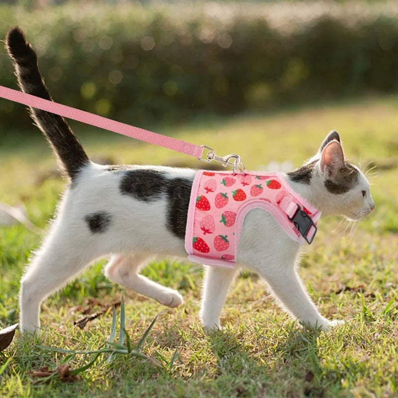 coleira para gatos | coleira anti fuga para gato | peitoral para gatos | coleira e guia para gato | coleira rosa para gatos | miauauau | mundomiauauau