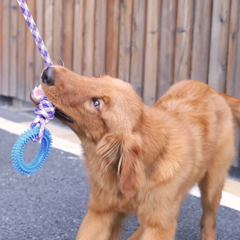brinquedo para cachorro, brinquedo interativo para cachorro, brinquedo para cachorro grande, brinquedo de puxar para cachorro, brinquedo para cães, corda para cachorro, mundomiauauau, miauauau