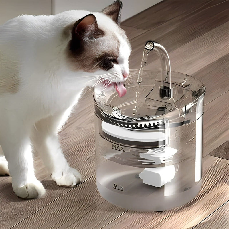 bebedouro para gatos, fonte para gatos, bebedouro automático para gatos, fonte para gatos, fonte automática para gatos, fonte para felinos, agua limpa para gatos