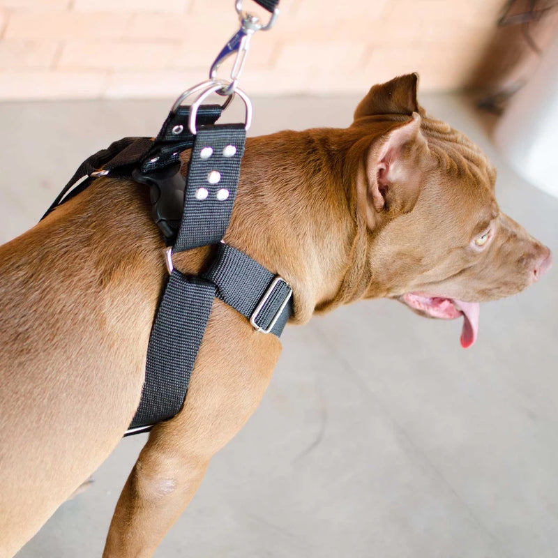 coleira peitoral para cachorro, coleira para pitbull, coleira para american, coleira peitoral para cachorro grande, coleira para cachorro médio, coleira peitoral para cachorro médio, coleira anti puxão, coleira para rotweiller, guia para cachorro grande, mundomiauauau, miauauau