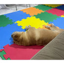 tapete antiderrapante para cachorro, tapete para pet, tapete para cachorro com displasia, tapete para cães com problema articular, tapete para cães com displasia, tapete emborrachado pet, mundomiauauau, miauauau