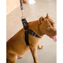 coleira peitoral para cachorro, coleira para pitbull, coleira para american, coleira peitoral para cachorro grande, coleira para cachorro médio, coleira peitoral para cachorro médio, coleira anti puxão, coleira para rotweiller, guia para cachorro grande, mundomiauauau, miauauau