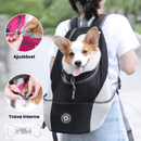 mochila canguru para cachorro, mochila de transporte de cachorro, mochila para transportar cachorro, mochila para transportar cães, mochila para transportar pet, mundomiauauau, miauauau