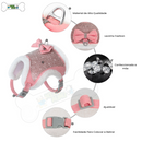 coleira para cadela, coleira para pet, coleira para cachorro, coleira para fêmeas, coleira para raças pequenas, coleira luxuosa, coleira bonita, coleira com strass, coleira brilhante, mundomiauauau, miauauau