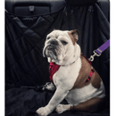 coleira para cachorro, cinto de segurança para cachorro, cinto de segurança para cães, cinto para cachorro multifuncional, cinto de segurança para cachorro em carros, mundomiauauau, miauauau