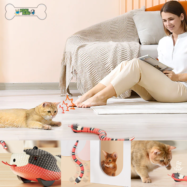 Compra online de Brinquedos interativos para gatos com detecção  inteligente, automático, eletrônico, cobra, gato, brincadeira, usb,  recarregável, brinquedos para gatos, cães, animais de estimação