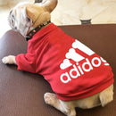 Camisa Moletom Adidog Pet Coleção 2023 - mundomiauauau