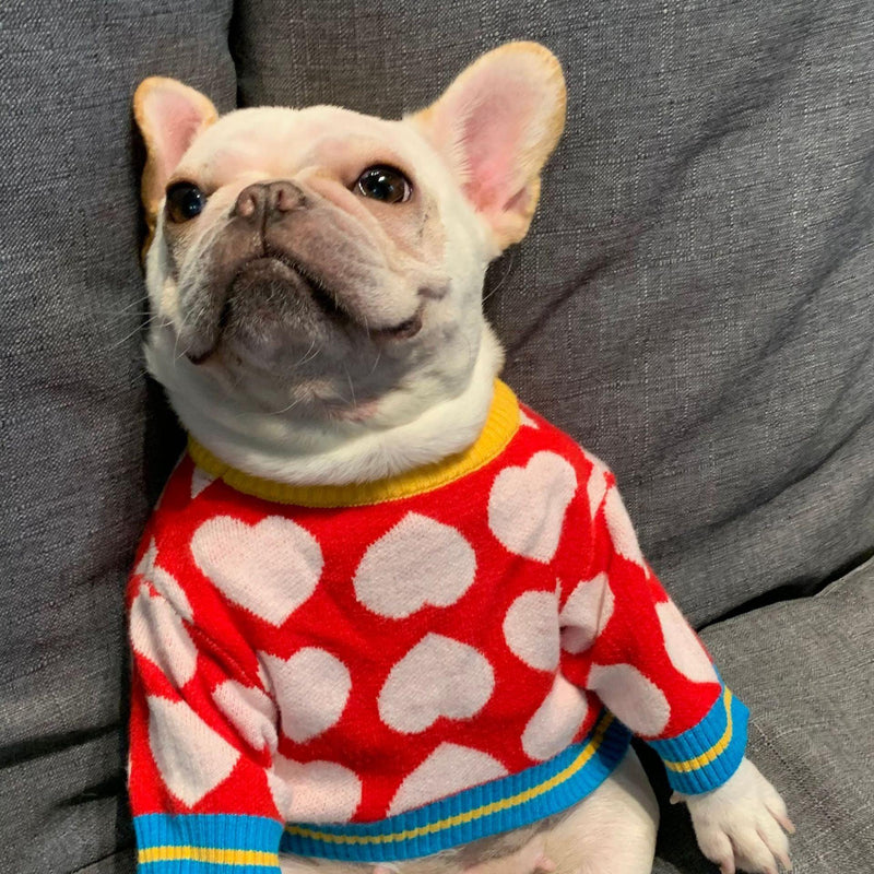 Roupa Suéter de Tricot Para Cachorro - Pet Date - mundomiauauau