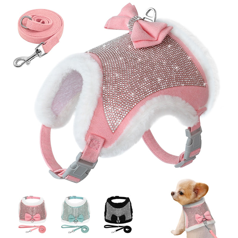 coleira para cadela, coleira para pet, coleira para cachorro, coleira para fêmeas, coleira para raças pequenas, coleira luxuosa, coleira bonita, coleira com strass, coleira brilhante, mundomiauauau, miauauau