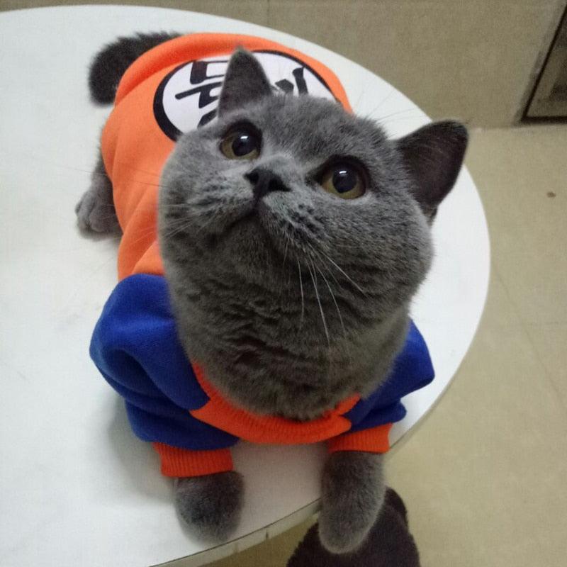 roupa pet, roupa pet para gato, blusa pet para gato, blusa para gato, casaco para gato, roupa dragon ball para gato, camisa dragon ball para gato, casaco dragon ball para gato, mundo miauauau, miauauau